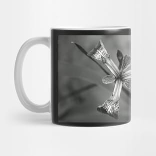 Tripod Mug